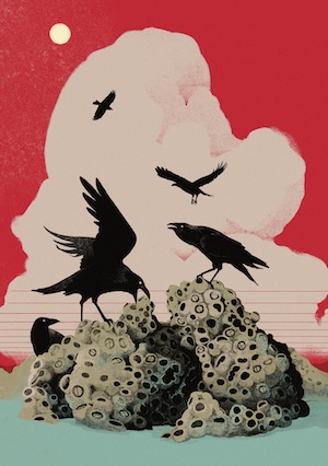 An illustration of black birds picking at a barnacle covered rock against a bright red sky.
