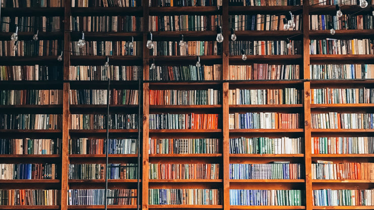 photo of a bookshelf with a ladder and hanging lights